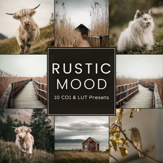 Rustic Mood Capture One & LUT Presets Paket