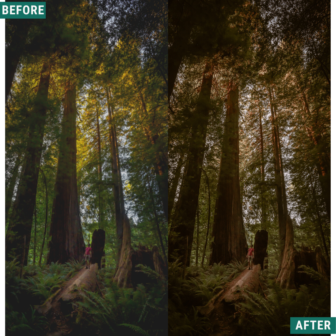 Rustic Wood Lightroom Presets Pack