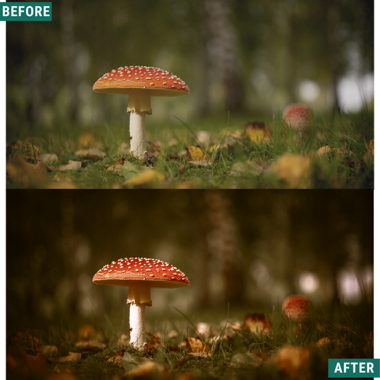 Rustic Wood Lightroom-Presets-Paket