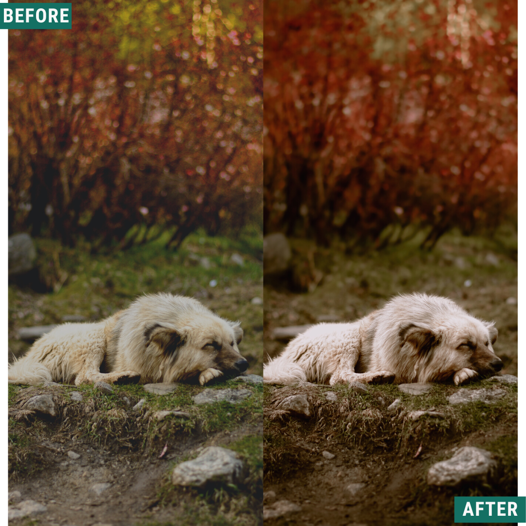 Rustic Wood Lightroom-Presets-Paket