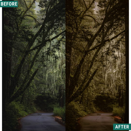 Rustic Wood Lightroom Presets Pack