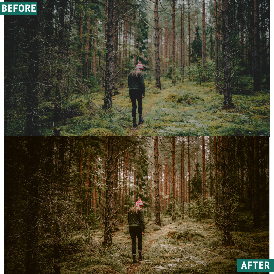 Rustic Wood Capture One & LUT Presets Pack