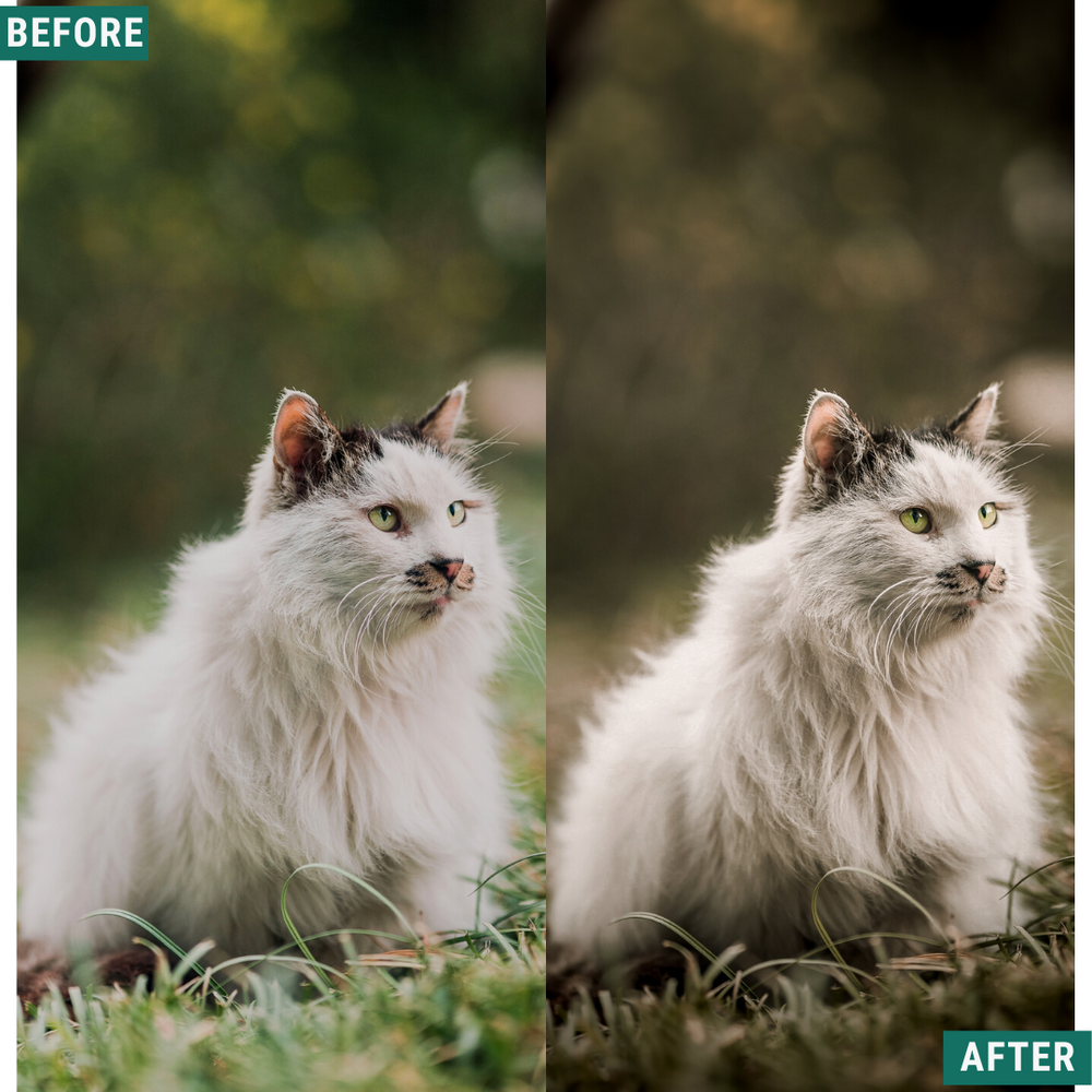 Rustikale Stimmung Lightroom Presets Pack