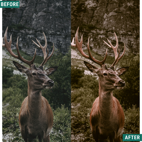 Rustikales Holz Lightroom Presets Pack