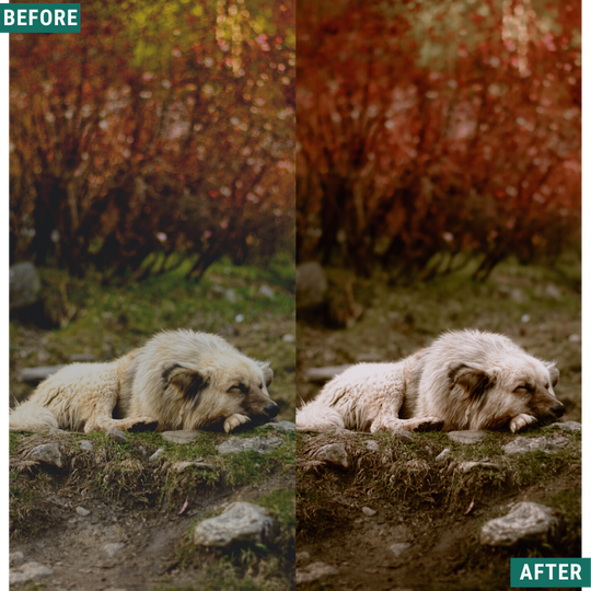 Rustikales Holz Lightroom Presets Pack