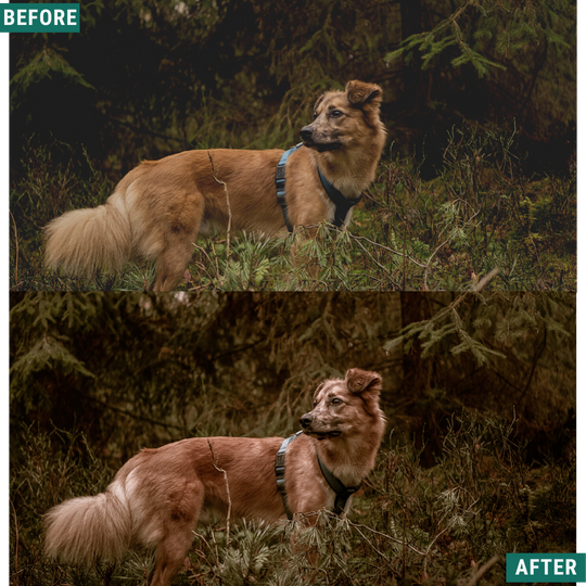 Rustikales Holz Lightroom Presets Pack