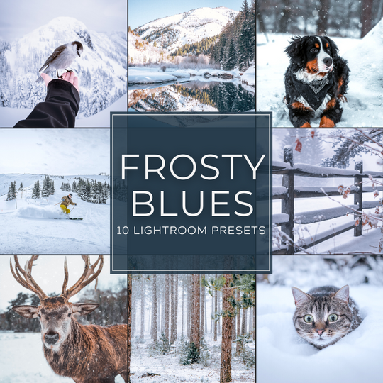 Frosty Blues Lightroom-Presets-Paket