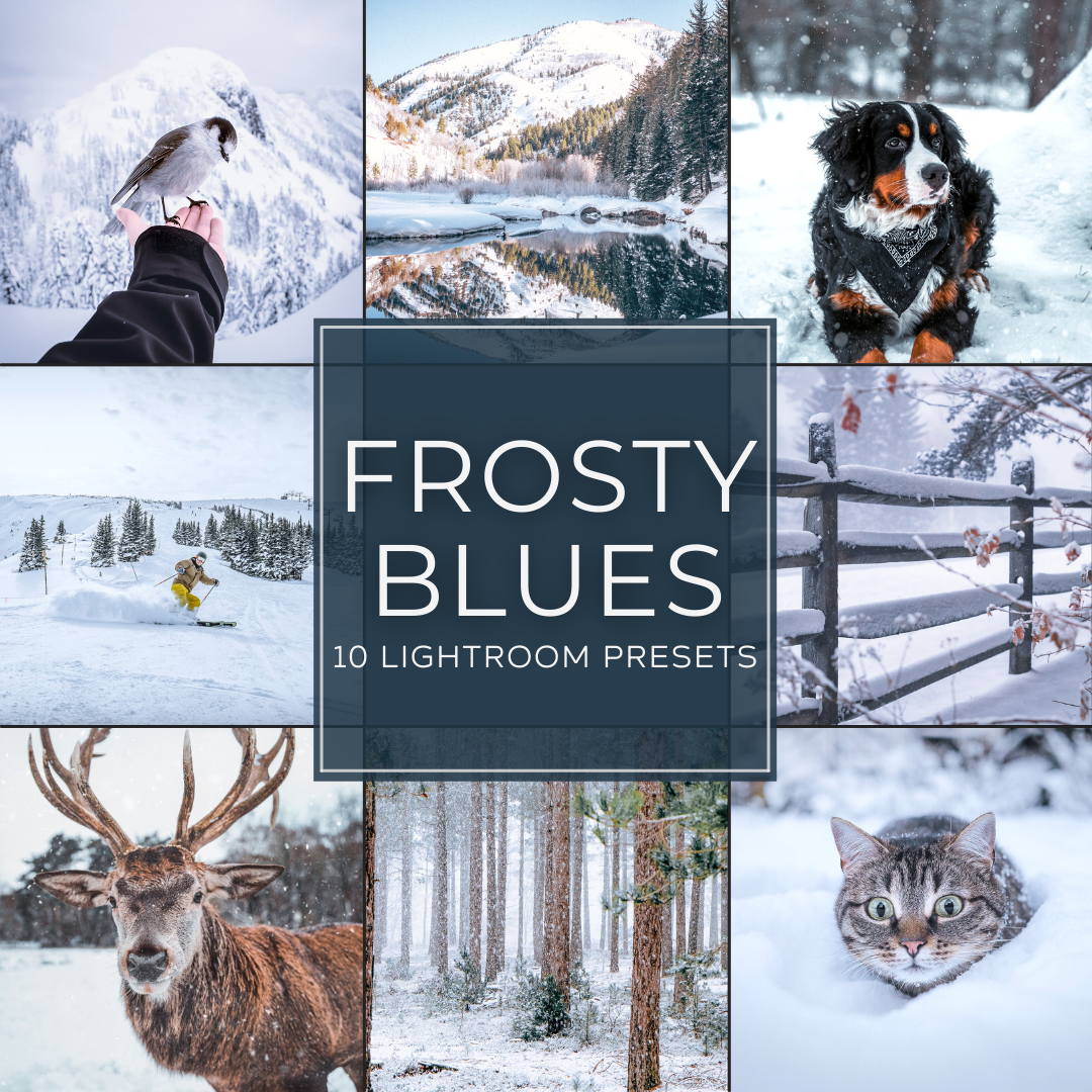 Frosty Blues Lightroom Presets Pack