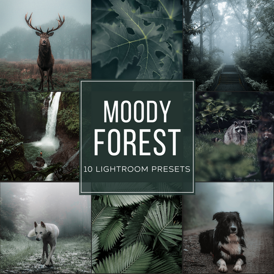 Moody Forest Lightroom-Presets-Paket