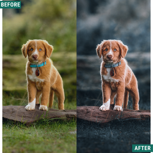 Deep Blues Lightroom-Presets-Paket