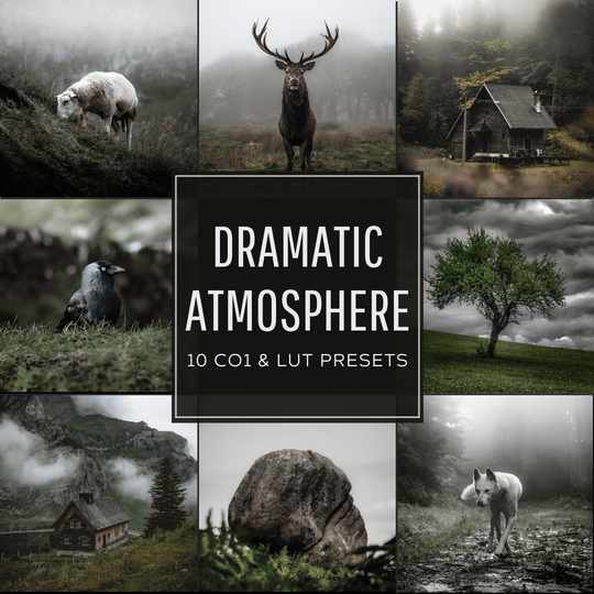 Dramatic Atmosphere Capture One & LUT Presets Paket