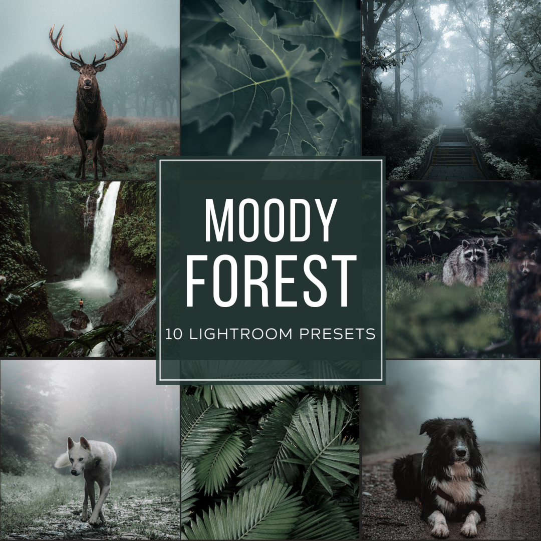 Moody Forest Lightroom Presets Pack