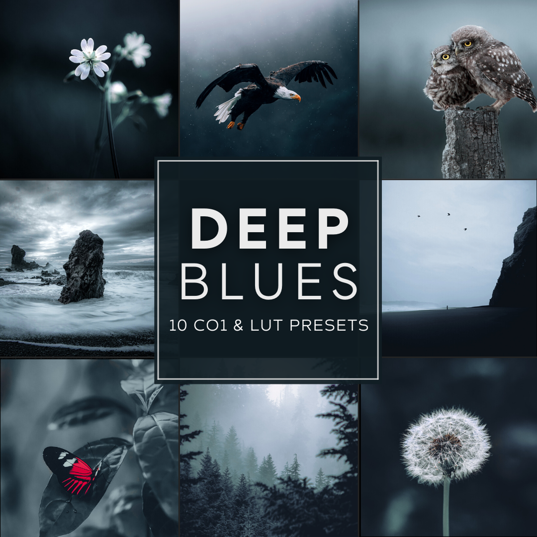 Deep Blues Capture One & LUT Presets Pack