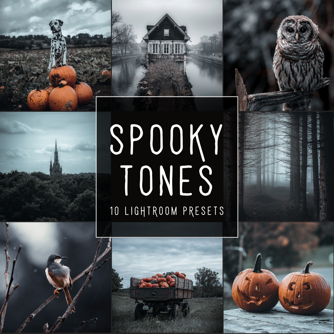 Spooky Tones Lightroom Presets Pack
