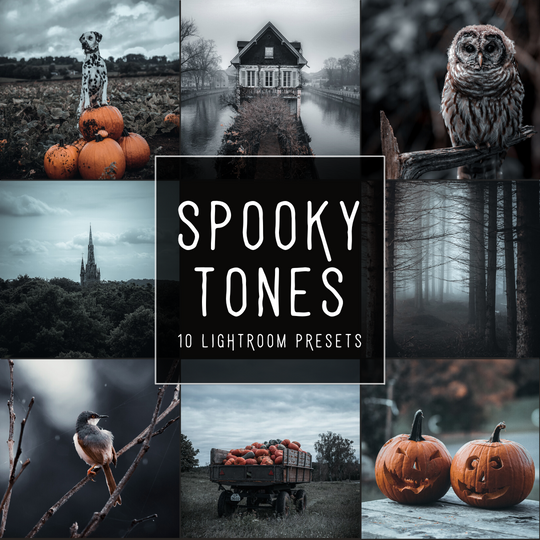 Spooky Tones LIMITED Lightroom Presets Pack