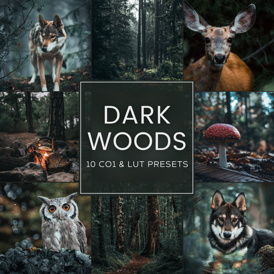 Dark Woods Capture One & LUT Presets Paket