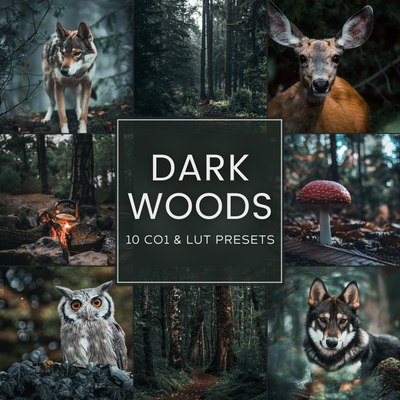 Dark Woods Capture One & LUT Presets Pack