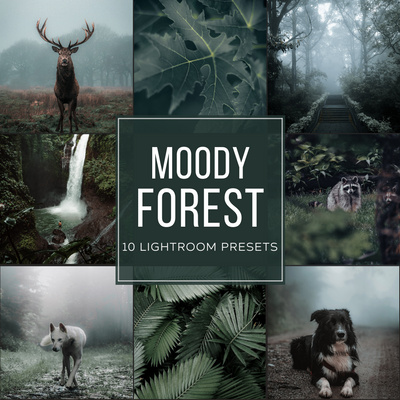Moody Forest Lightroom Presets Pack