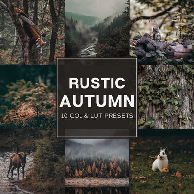 Rustic Autumn Capture One & LUT Presets Pack