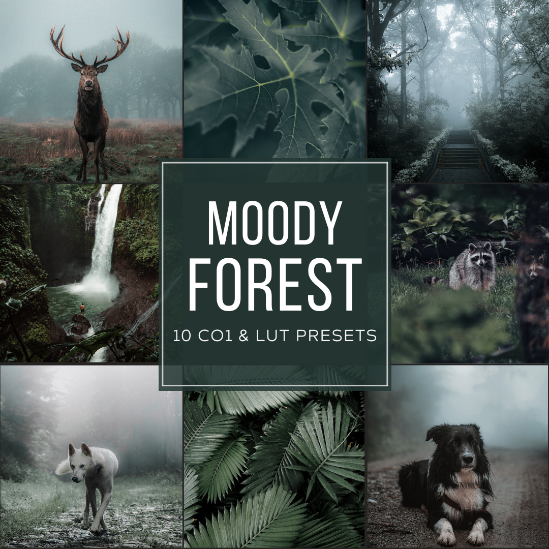 Moody Forest Capture One & LUT Presets Paket