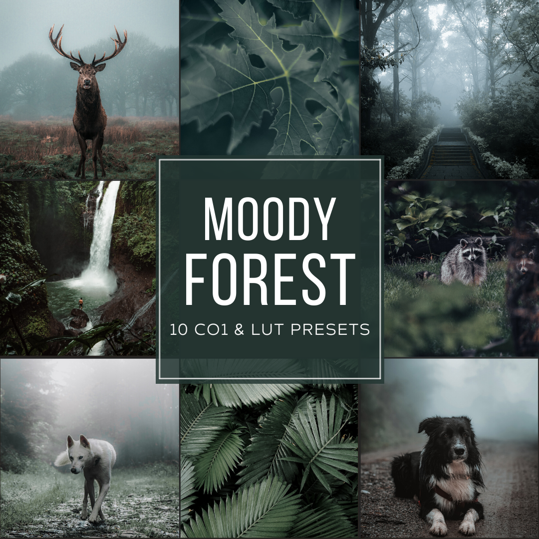 Moody Forest Capture One & LUT Presets Pack