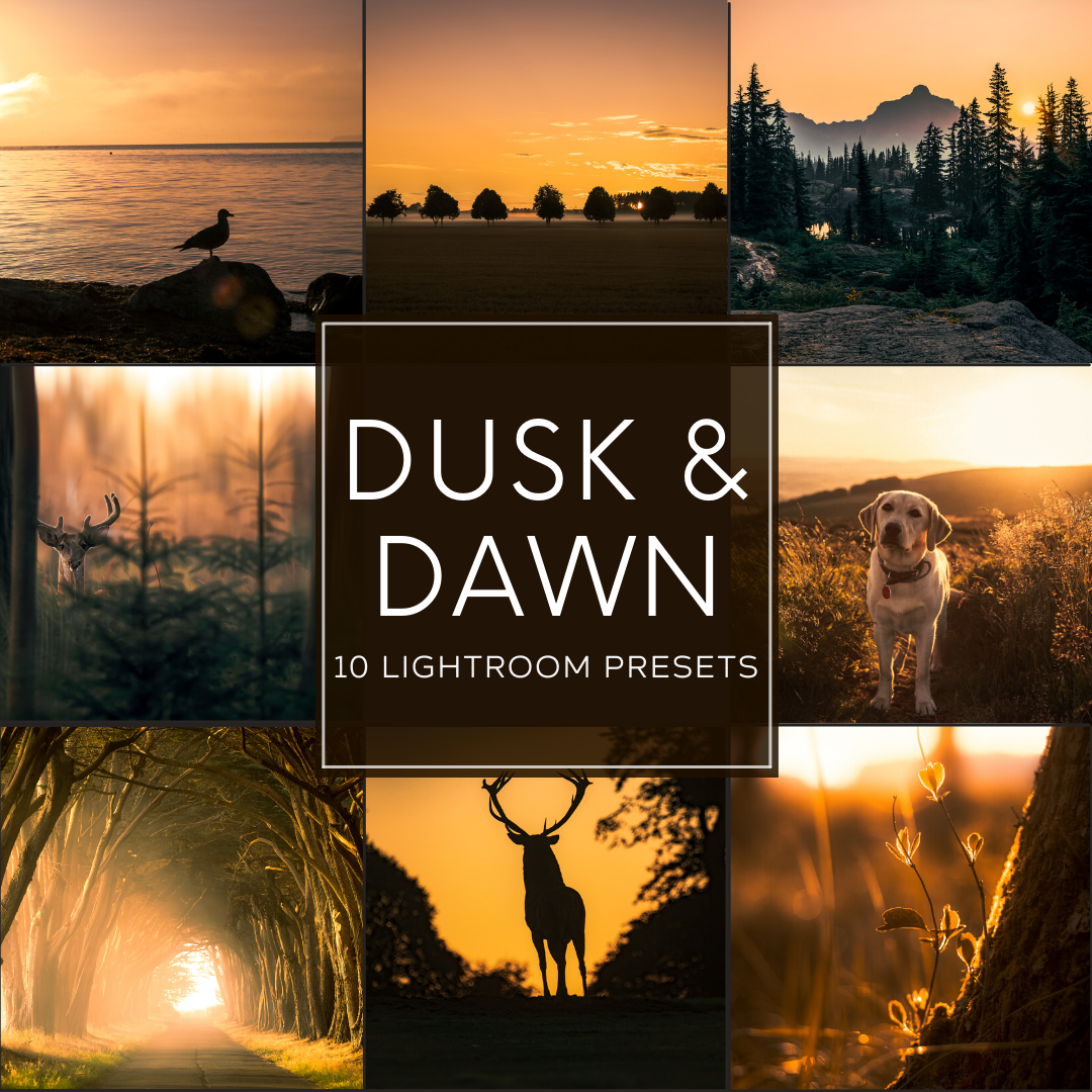 Dusk and Dawn Lightroom Presets Pack: Golden Hour Nature Photography Edits with Warm Sunset and Sunrise Tones for Desktop and Mobile.