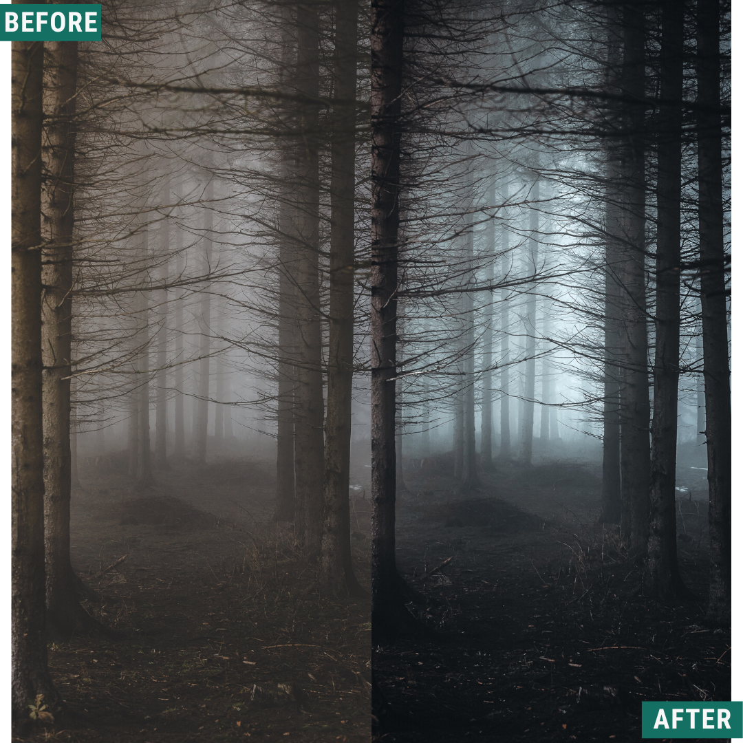 Spooky Tones Lightroom Presets Pack