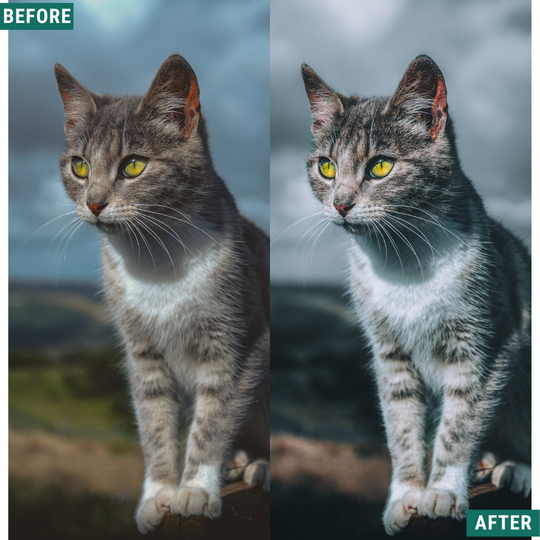 Deep Blues Lightroom-Presets-Paket