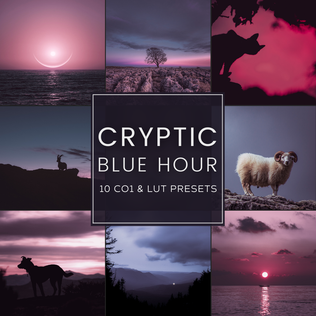 Cryptic Blue Hour Capture One & LUT Presets Pack